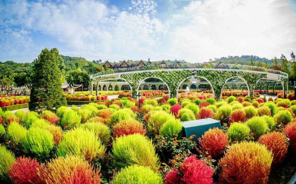 Pakej Korea Everland Theme Park 6H4M
