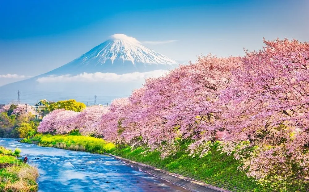 Pakej Tokyo + Mt Fuji, Jepun 5H4M