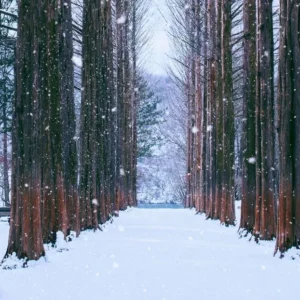Pakej Saranghaeyo Winter, Korea 6H4M