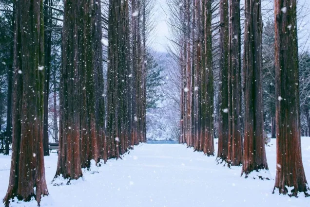 Pakej Saranghaeyo Winter, Korea 6H4M