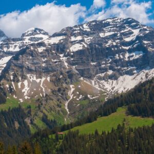 Snow-capped Swiss Alps mountain peaks above green forest, Switzerland