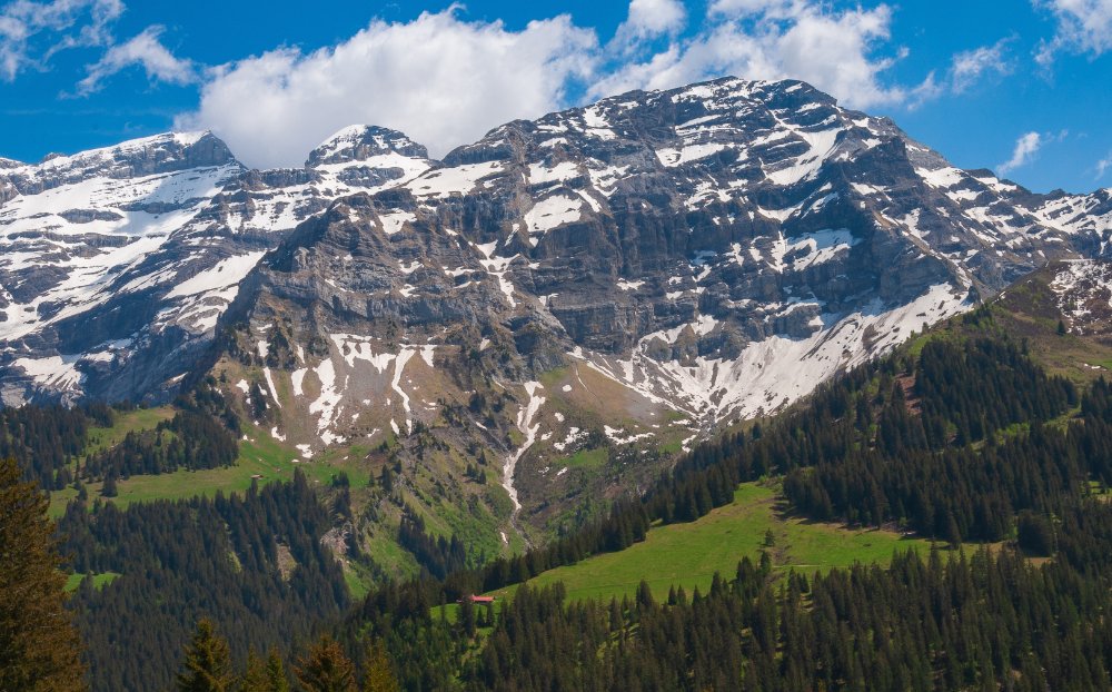 Snow-capped Swiss Alps mountain peaks above green forest, Switzerland