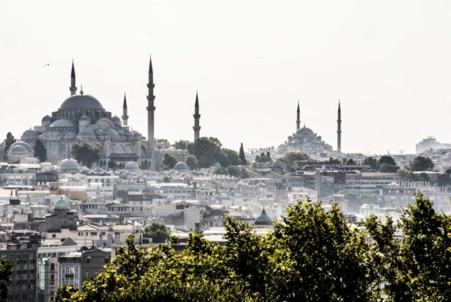 Istanbul cityscape mosques
