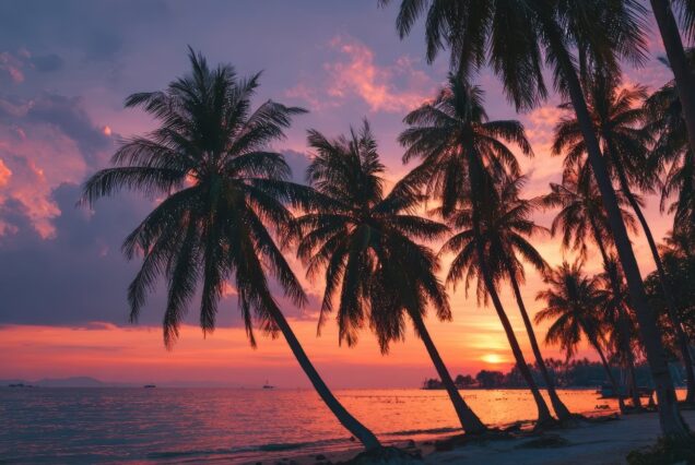 Pokok kelapa di pantai tropika ketika matahari terbenam